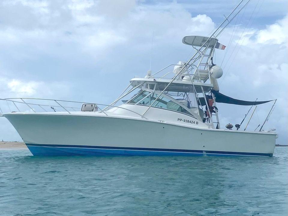 Luhrs 36 Open